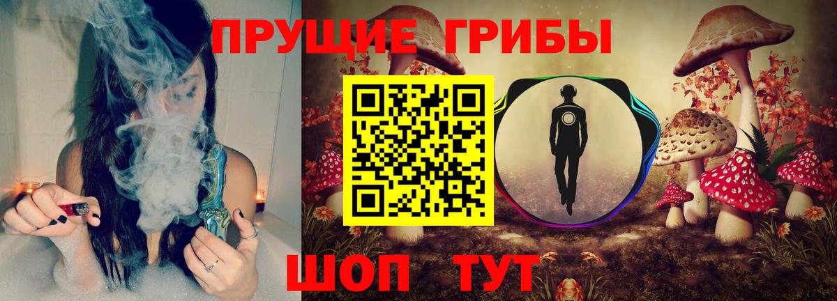 магазин    Псилоцибиновые грибы Psilocybine cubensis  Вход с VPN  Сочи 